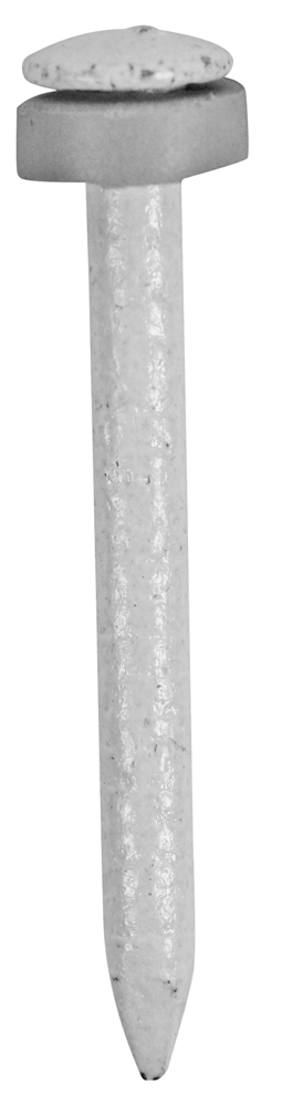 Bleckspik, Lågkullrigt huvud Lkh, Vfz 30x2,5mm